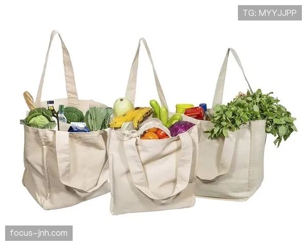 古力买菜那天拎着的手提袋比我整套家具还贵