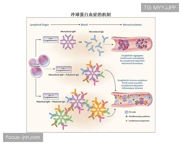 科雷亚边锋位置的潜力释放与近期表现提升机制分析