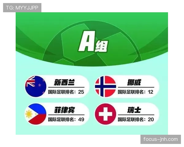 新西兰世界杯数据统计分析